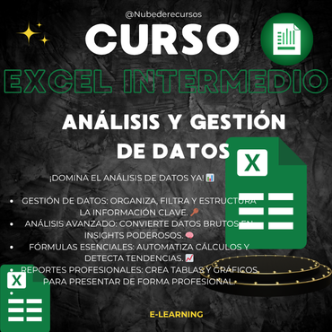 Curso Excel Análisis y Gestión de Datos